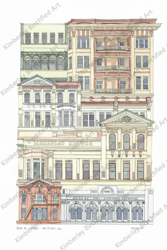 Above the Canopies - DEE STREET - The Grand