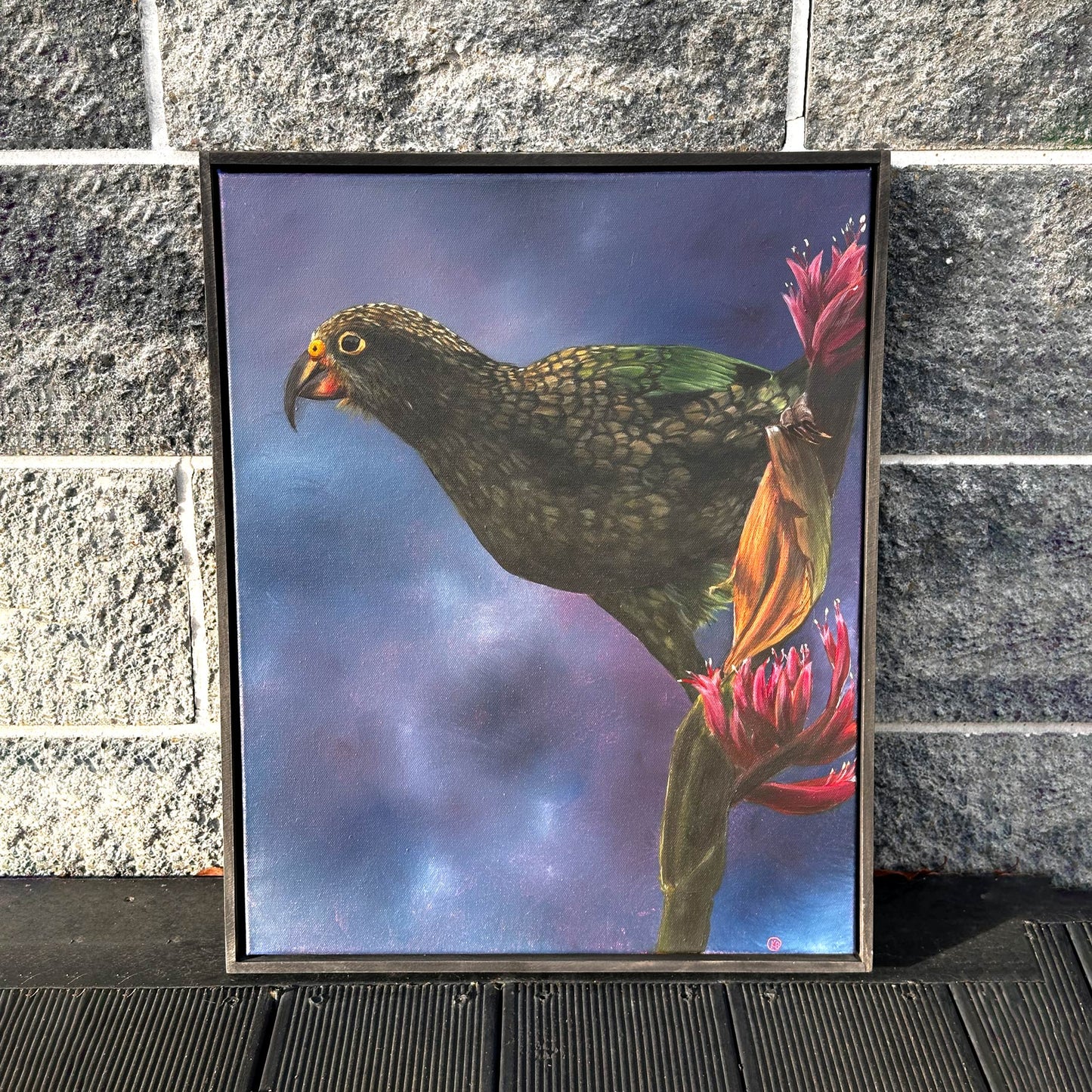 Kea in the Flax