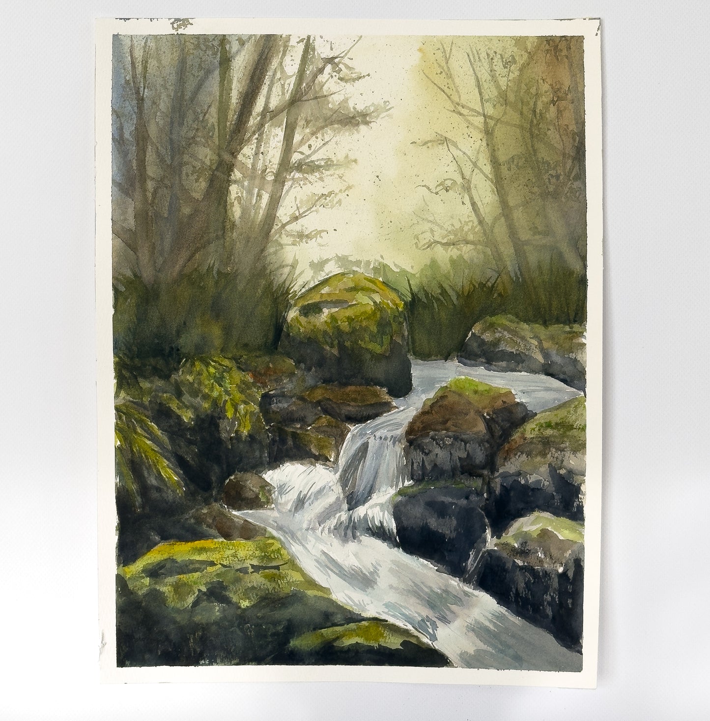 Forest stream